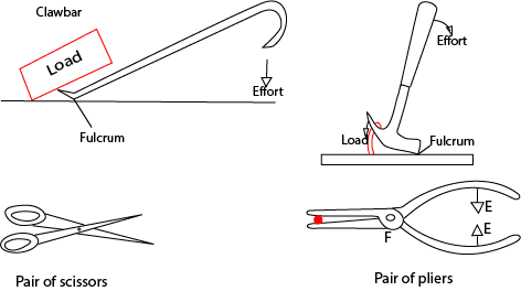 Simple machines (O-level physics) - Digital Teachers Uganda