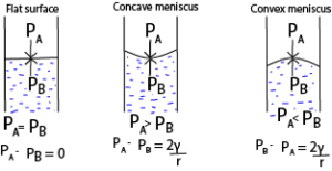 Surface tension (A-level physics) - Digital Teachers Uganda