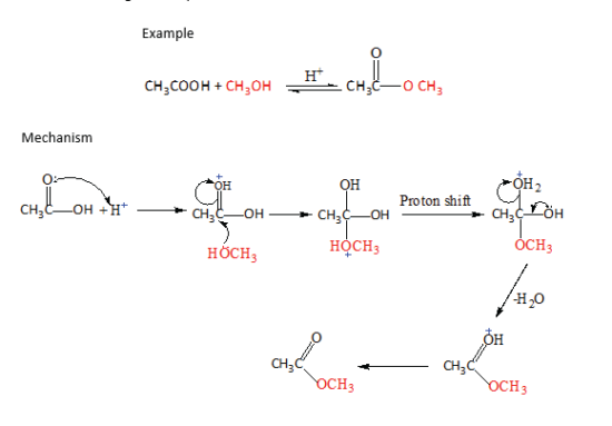 Reaction of alcohols with carboxylic acids to form esters - Digital ...