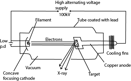 Describe using a labelled diagram, the mode of operation of an X-ray ...