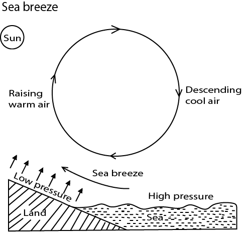 Examine the causes and effects of land and sea breezes in East ...