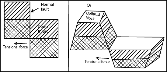 Differentiate between normal faults and reversed - Digital Teachers Uganda